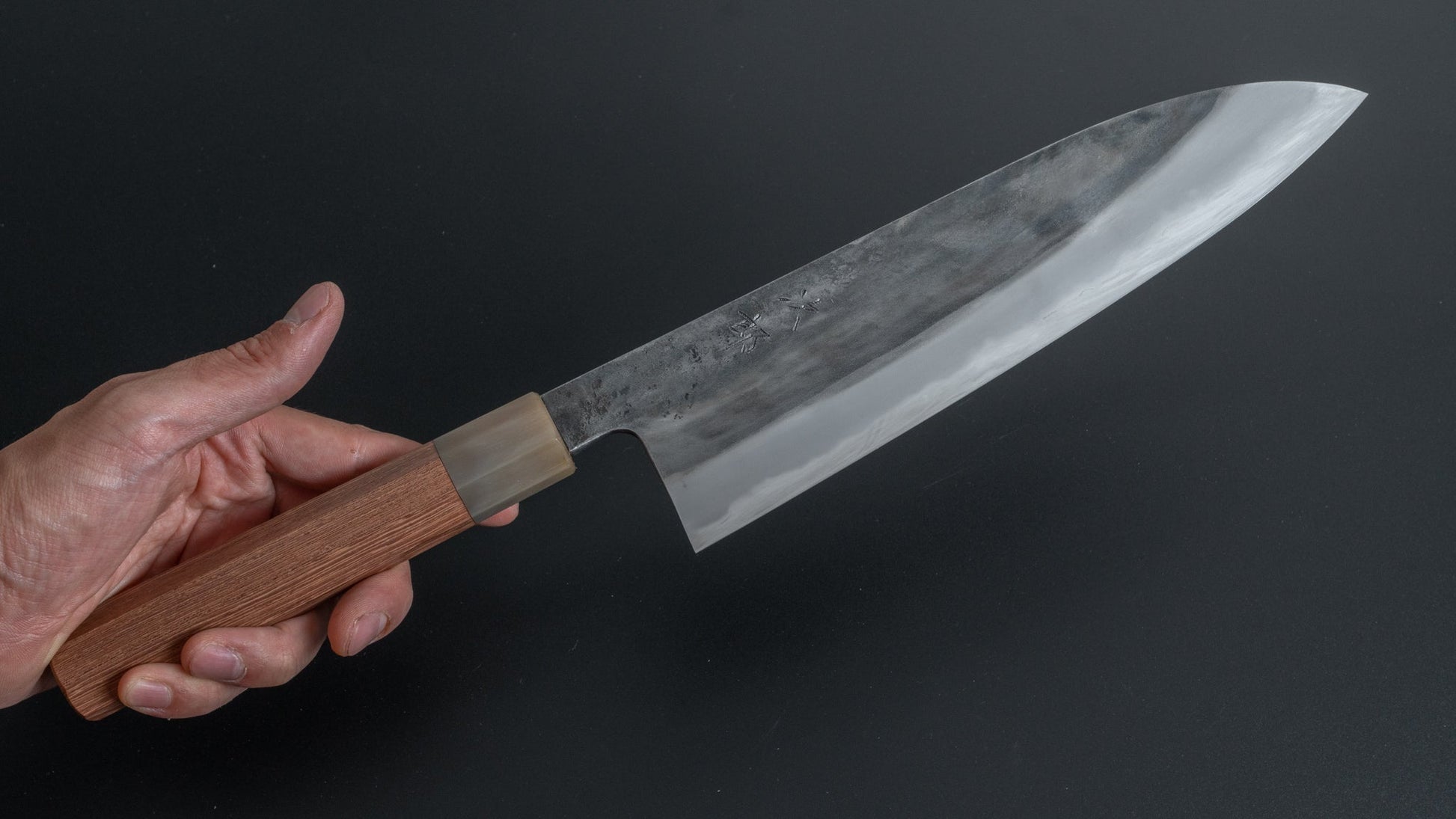 Jiro Tsuchime Wa Gyuto 225mm Taihei Tagayasan Handle (#285) - HITOHIRA