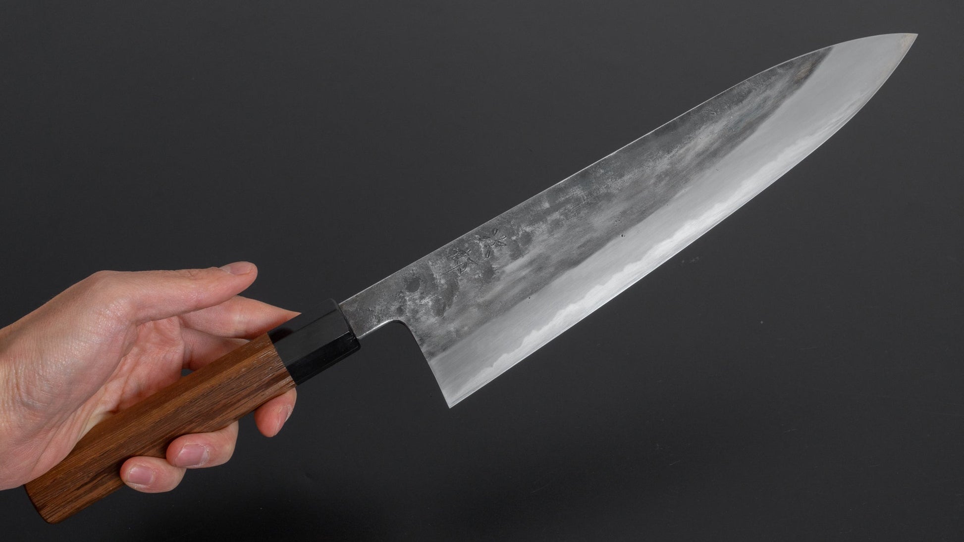 Jiro Tsuchime Wa Gyuto 270mm Taihei Tagayasan Handle (#180) - HITOHIRA