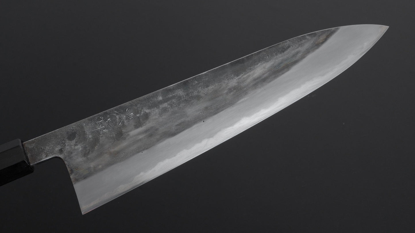 Jiro Tsuchime Wa Gyuto 270mm Taihei Tagayasan Handle (#180) - HITOHIRA