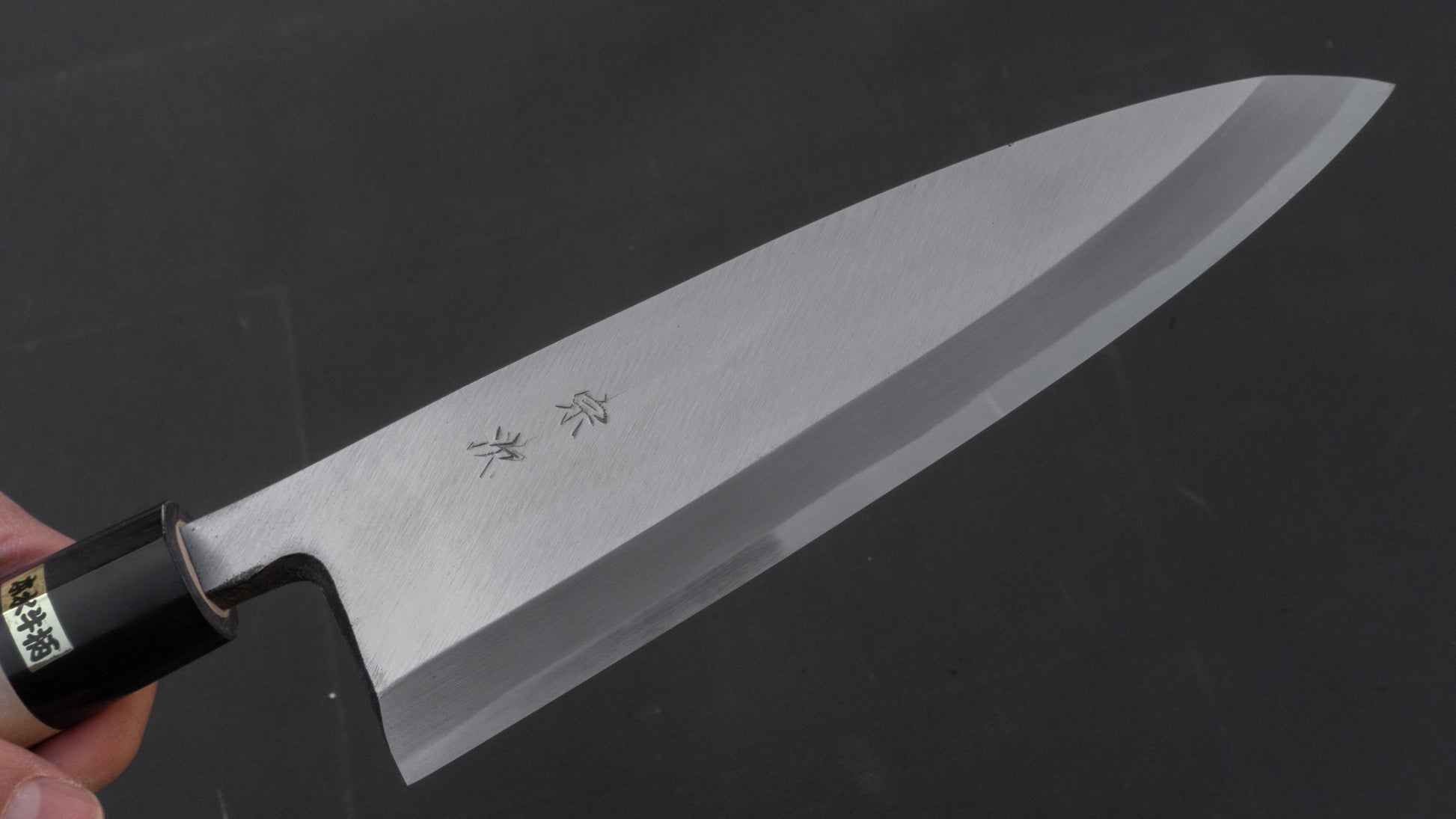 Morihei Munetsugu White #2 Deba 210mm Ho Wood Handle | HITOHIRA