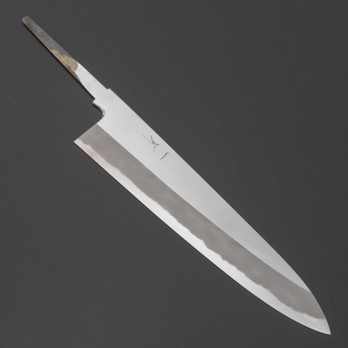 Hitohira Kikuchiyo Kyuzo White #2 Migaki Gyuto 240mm (No Handle) | HITOHIRA