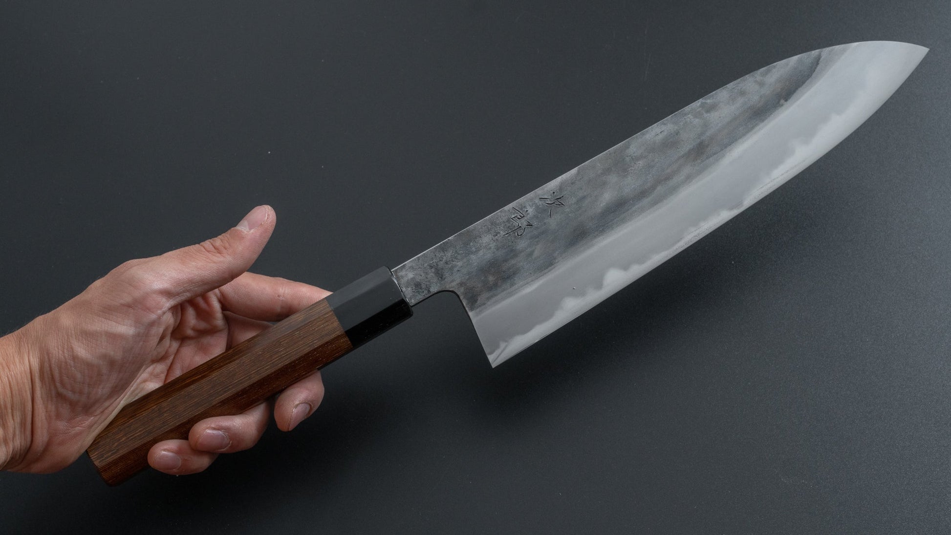 Jiro Tsuchime Wa Gyuto 240mm Taihei Tagayasan Handle (#290) - HITOHIRA