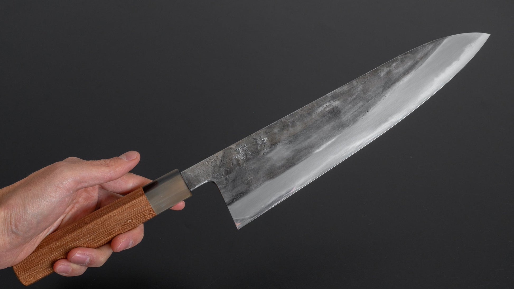 Jiro Tsuchime Wa Gyuto 255mm Taihei Tagayasan Handle (#183) - HITOHIRA