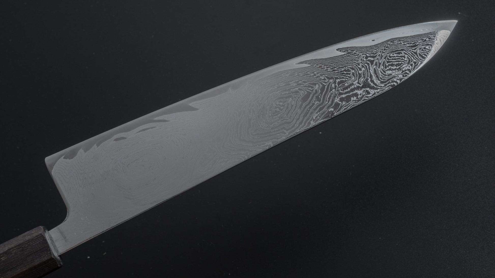 Hitohira Futana Nickel Damascus Gyuto 240mm Tagayasan Handle - HITOHIRA