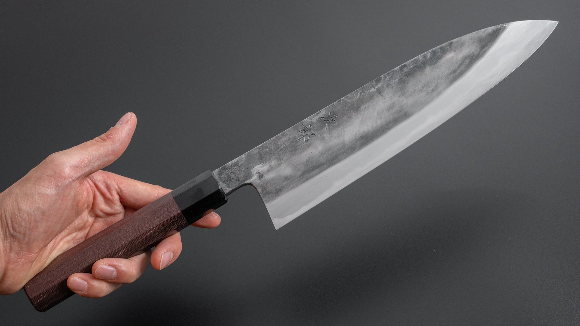 Jiro Tsuchime Wa Gyuto 240mm Taihei Tagayasan Handle (#292) - HITOHIRA