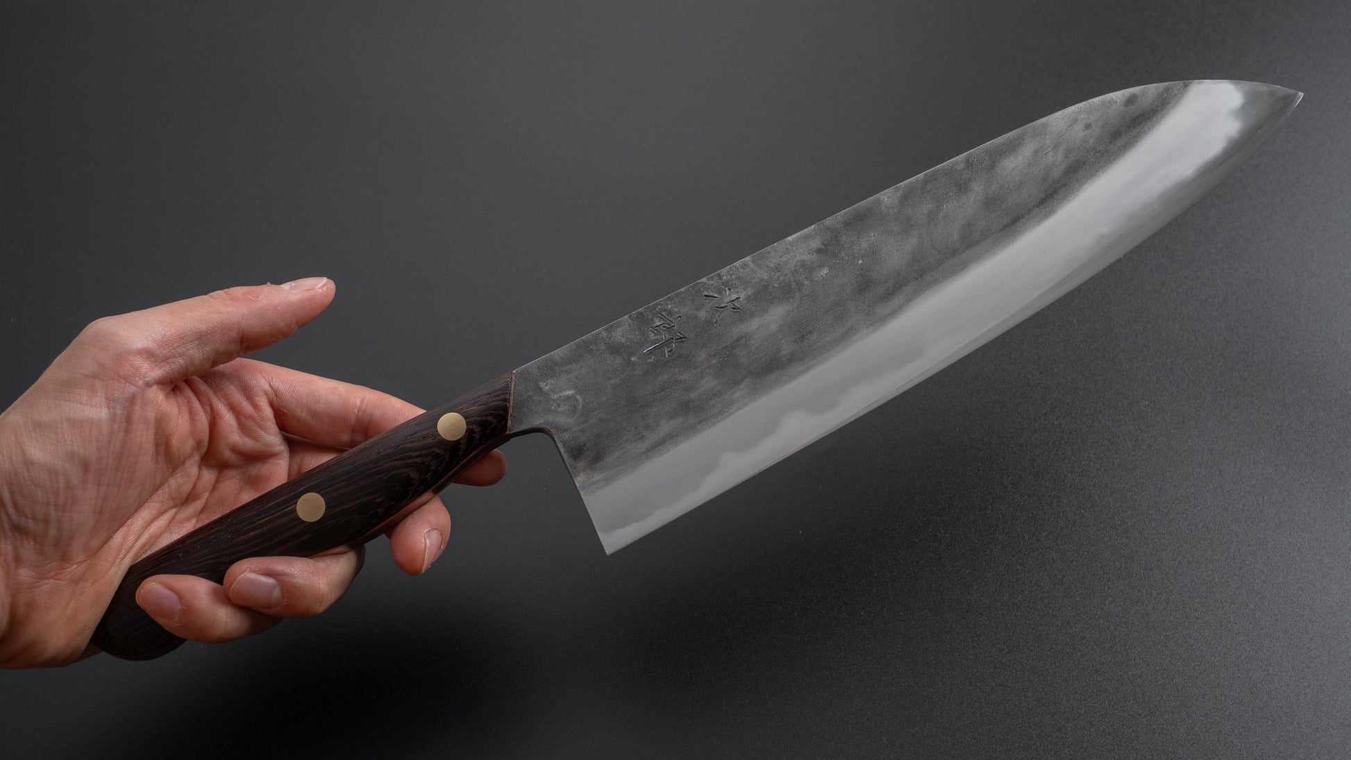 Jiro Tsuchime Yo Gyuto 255mm Tagayasan Handle (#293) - HITOHIRA