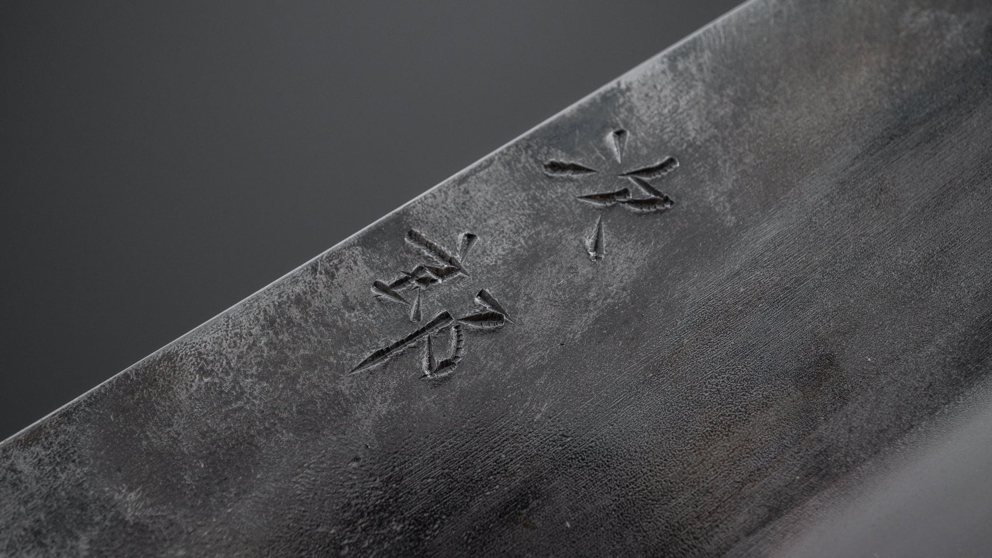 Jiro Tsuchime Wa Gyuto 270mm Taihei Tagayasan Handle (#295) - HITOHIRA