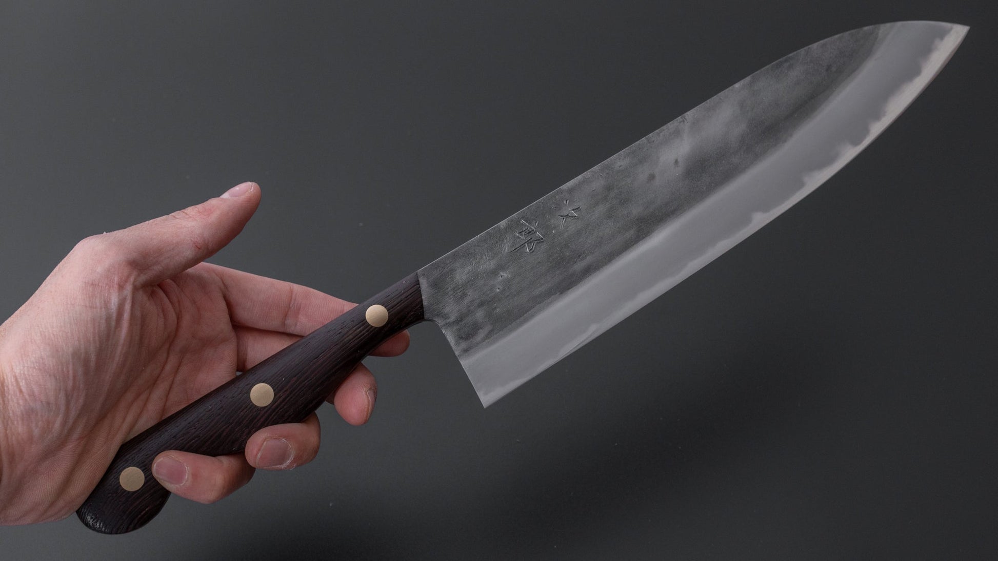 Jiro Tsuchime Yo Gyuto 255mm Tagayasan Handle (#297) - HITOHIRA