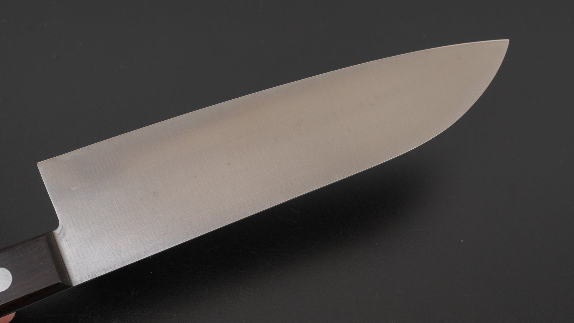 Masakane Vintage SK Santoku 180mm Ebony Handle (No Bolster) | HITOHIRA