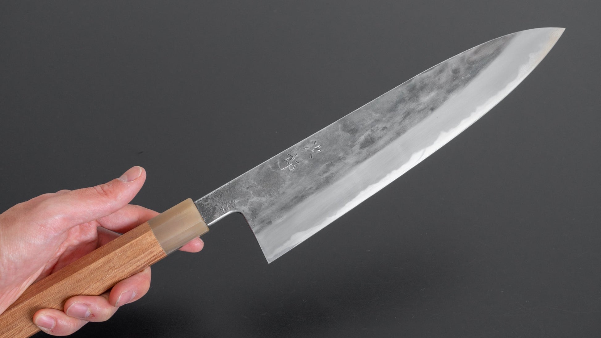 Jiro Tsuchime Wa Gyuto 255mm Taihei Tagayasan Handle (#189) - HITOHIRA