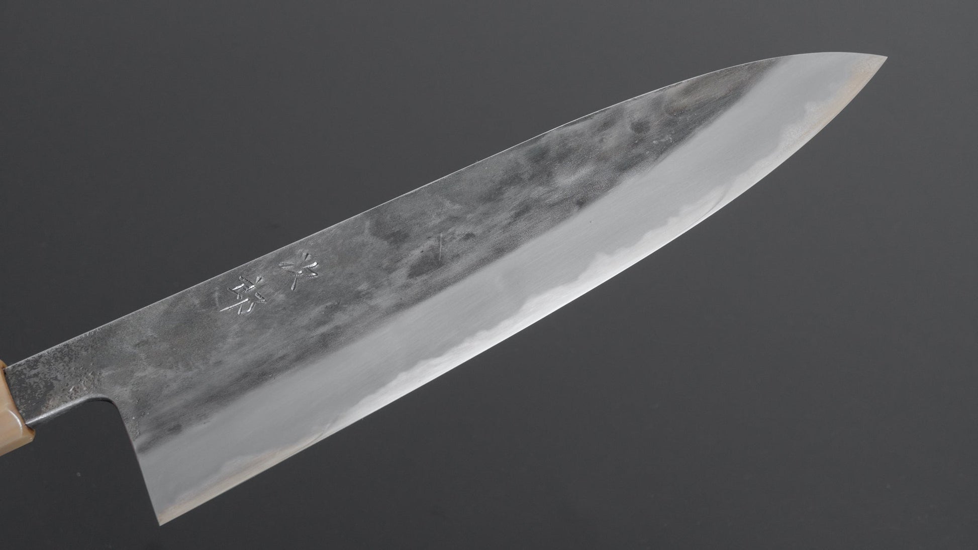 Jiro Tsuchime Wa Gyuto 255mm Taihei Tagayasan Handle (#189) - HITOHIRA