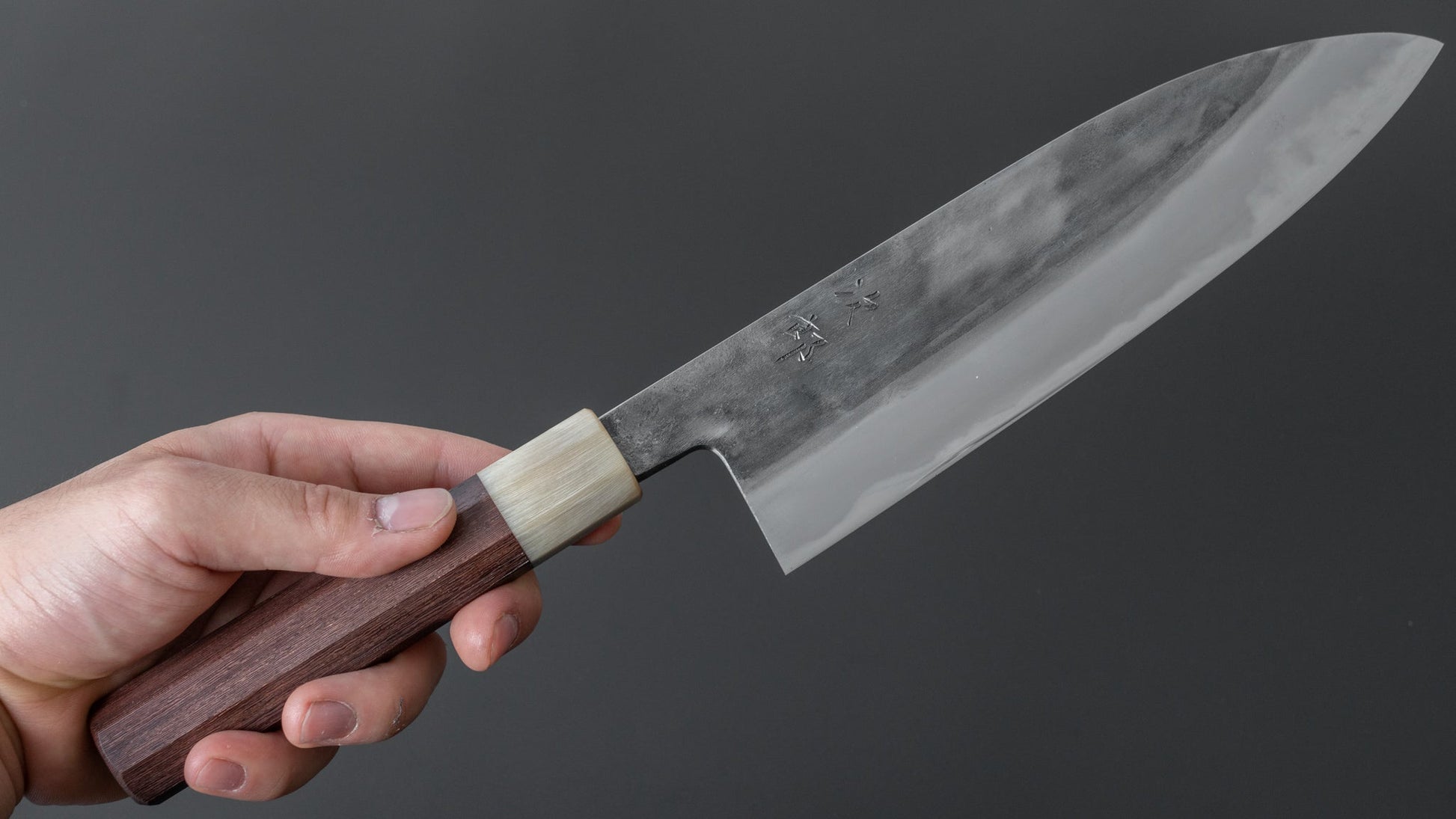 Jiro Tsuchime Wa Gyuto 210mm Taihei Tagayasan Handle (#301) - HITOHIRA