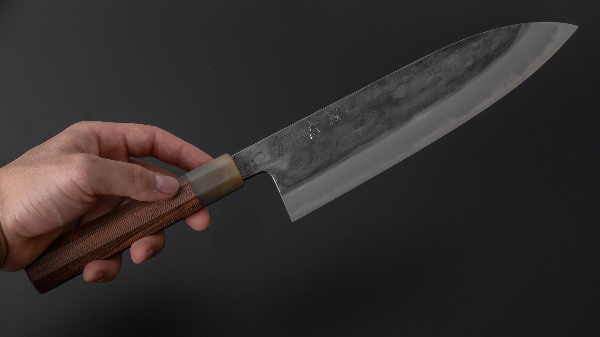 Jiro Tsuchime Wa Gyuto 240mm Taihei Tagayasan Handle (#304) - HITOHIRA