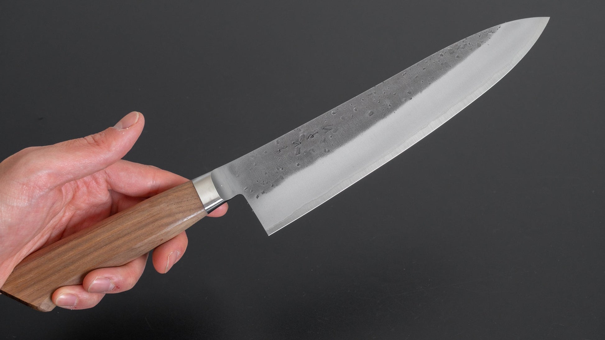 Hitohira TD Blue #2 Stainless Clad Nashiji Yo Gyuto 210mm Walnut Handle - HITOHIRA