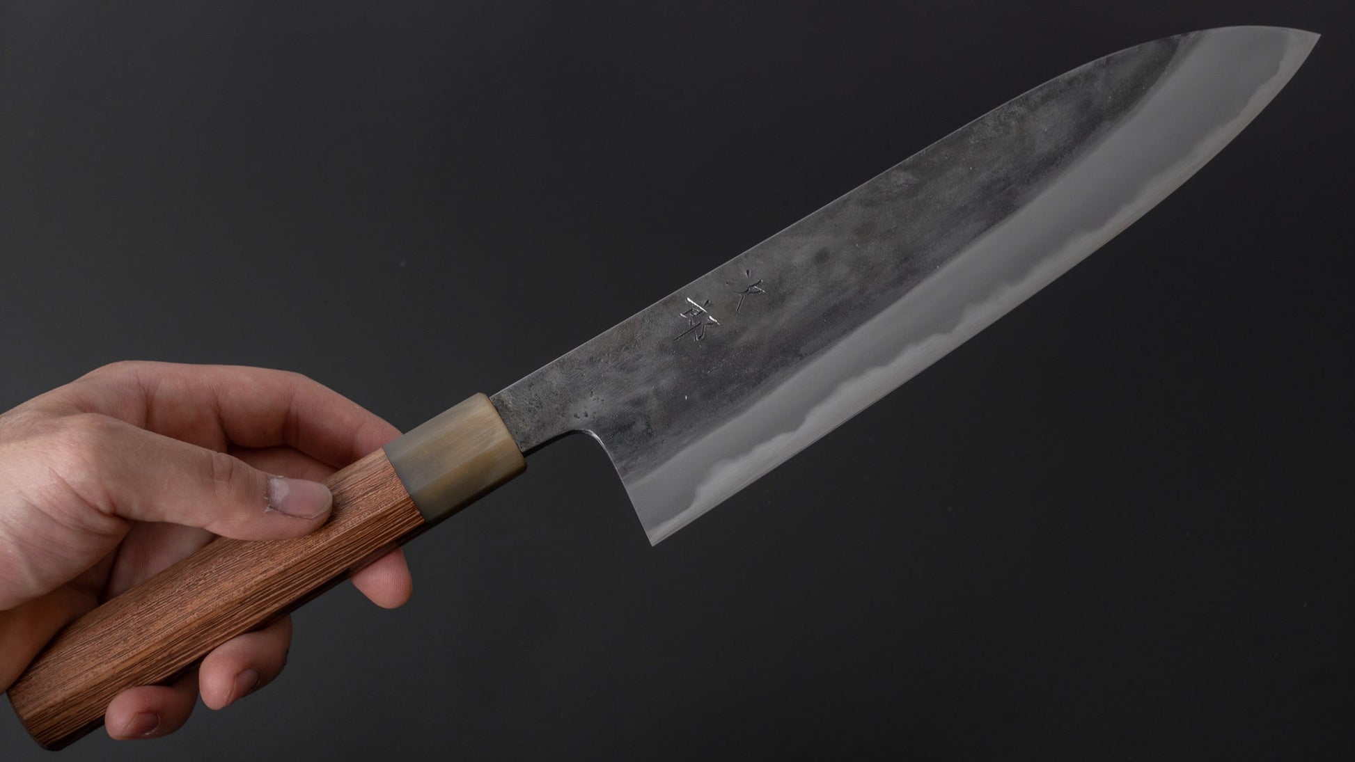 Jiro Tsuchime Wa Gyuto 240mm Taihei Tagayasan Handle (#305) - HITOHIRA