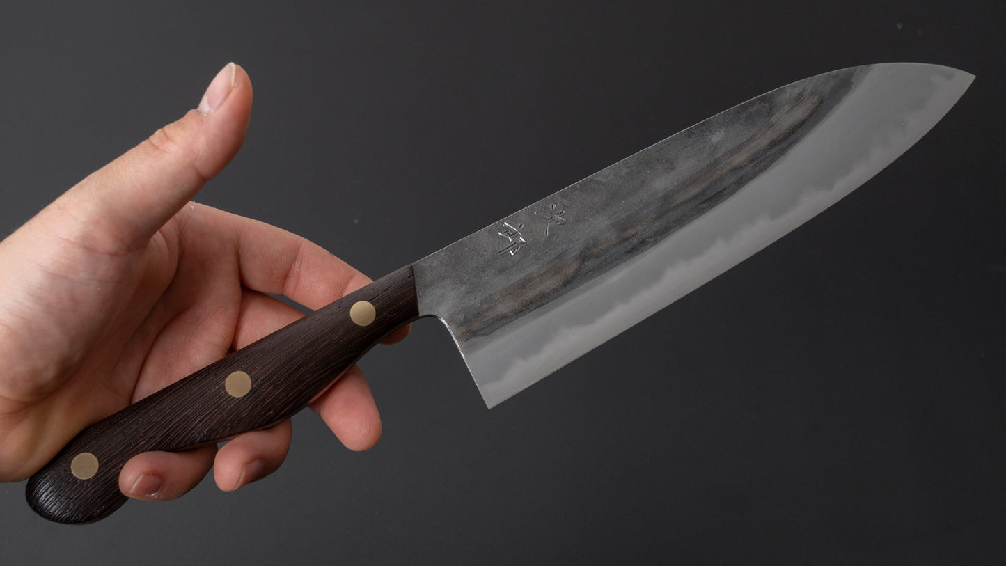 Jiro Tsuchime Yo Gyuto 210mm Tagayasan Handle (#310) - HITOHIRA