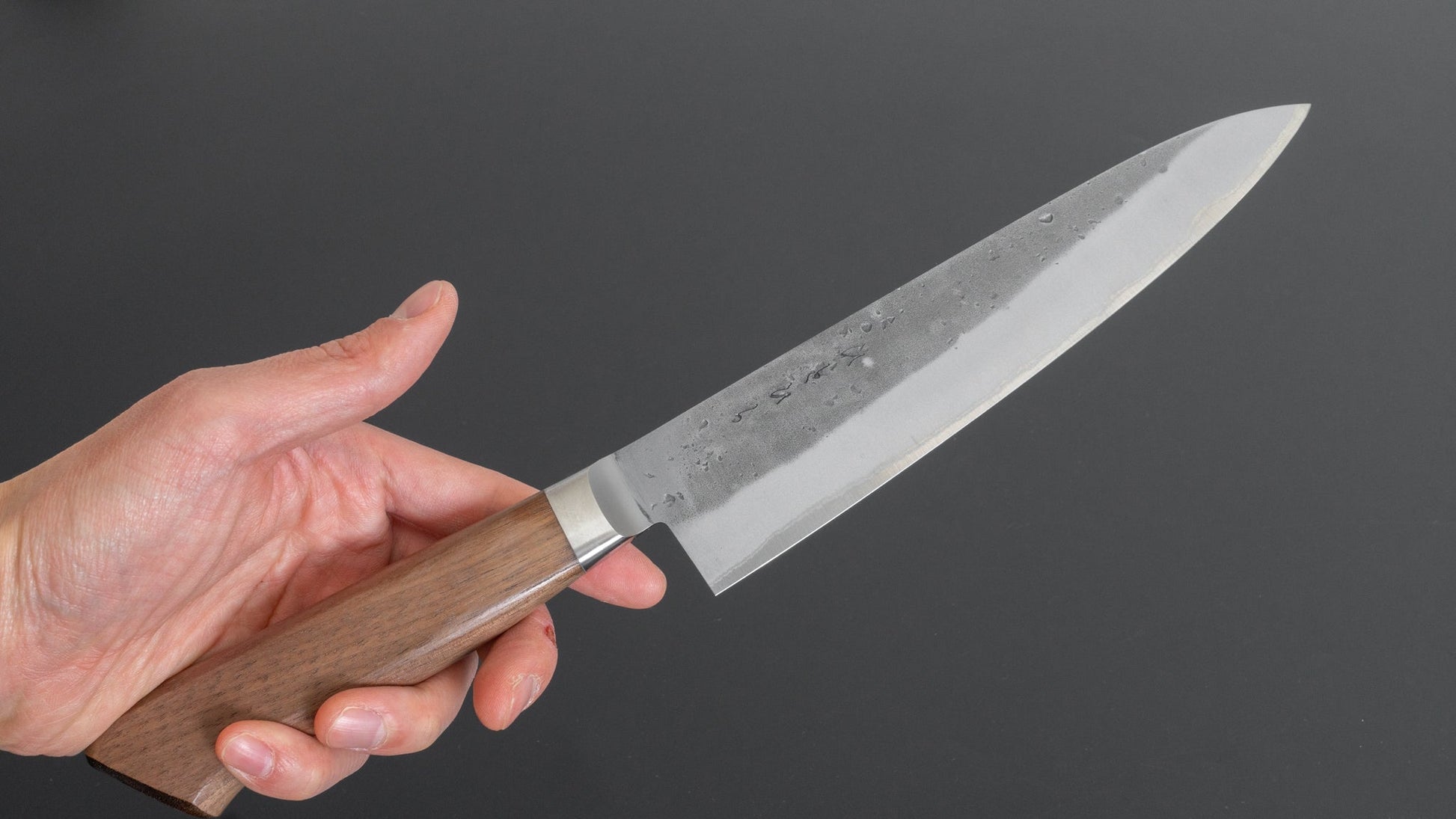 Hitohira TD Blue #2 Stainless Clad Nashiji Yo Gyuto 180mm Walnut Handle - HITOHIRA