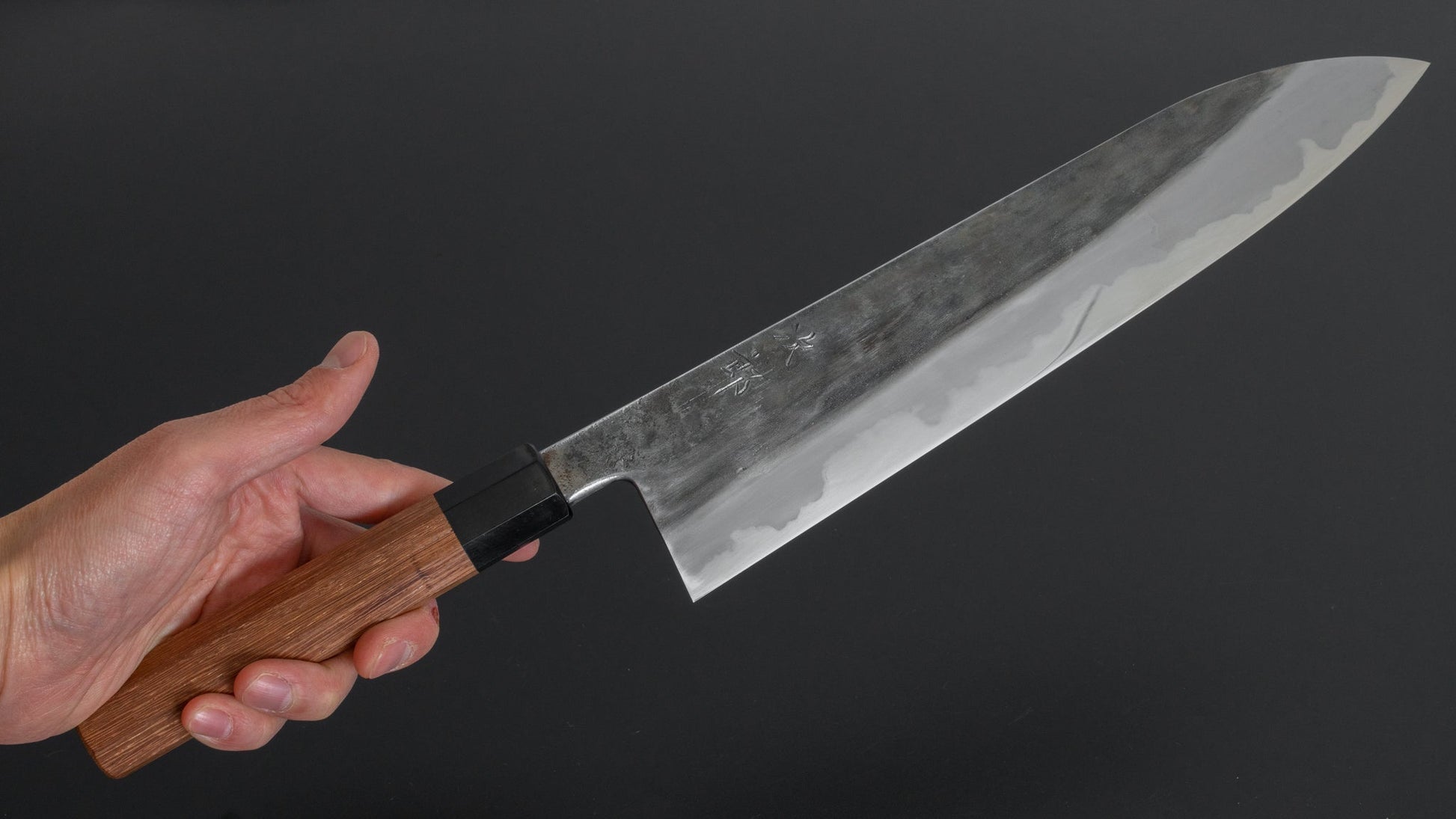 Jiro Tsuchime Wa Gyuto 270mm Taihei Tagayasan Handle (#201) - HITOHIRA