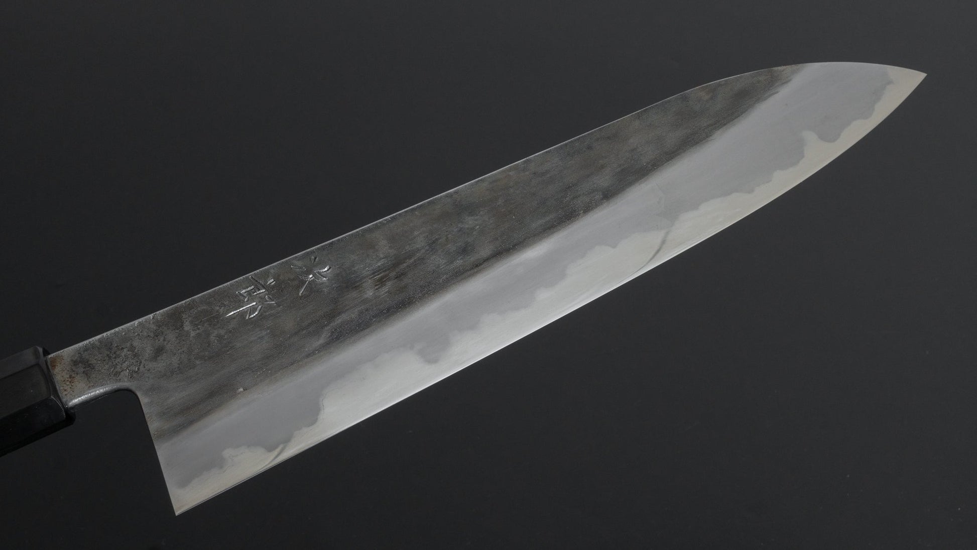 Jiro Tsuchime Wa Gyuto 270mm Taihei Tagayasan Handle (#201) - HITOHIRA