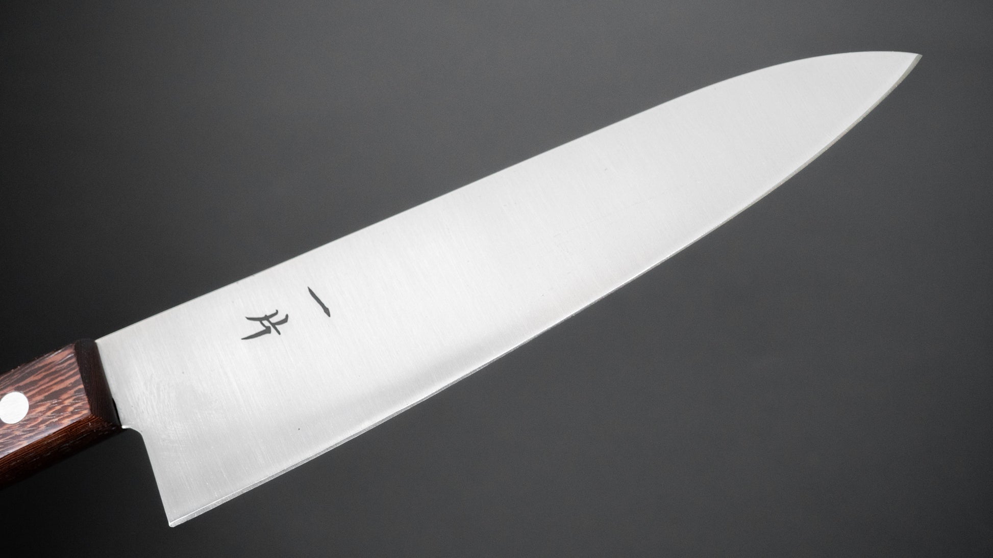 Hitohira Vintage SK Gyuto 180mm Tagayasan Handle (No Bolster) - HITOHIRA