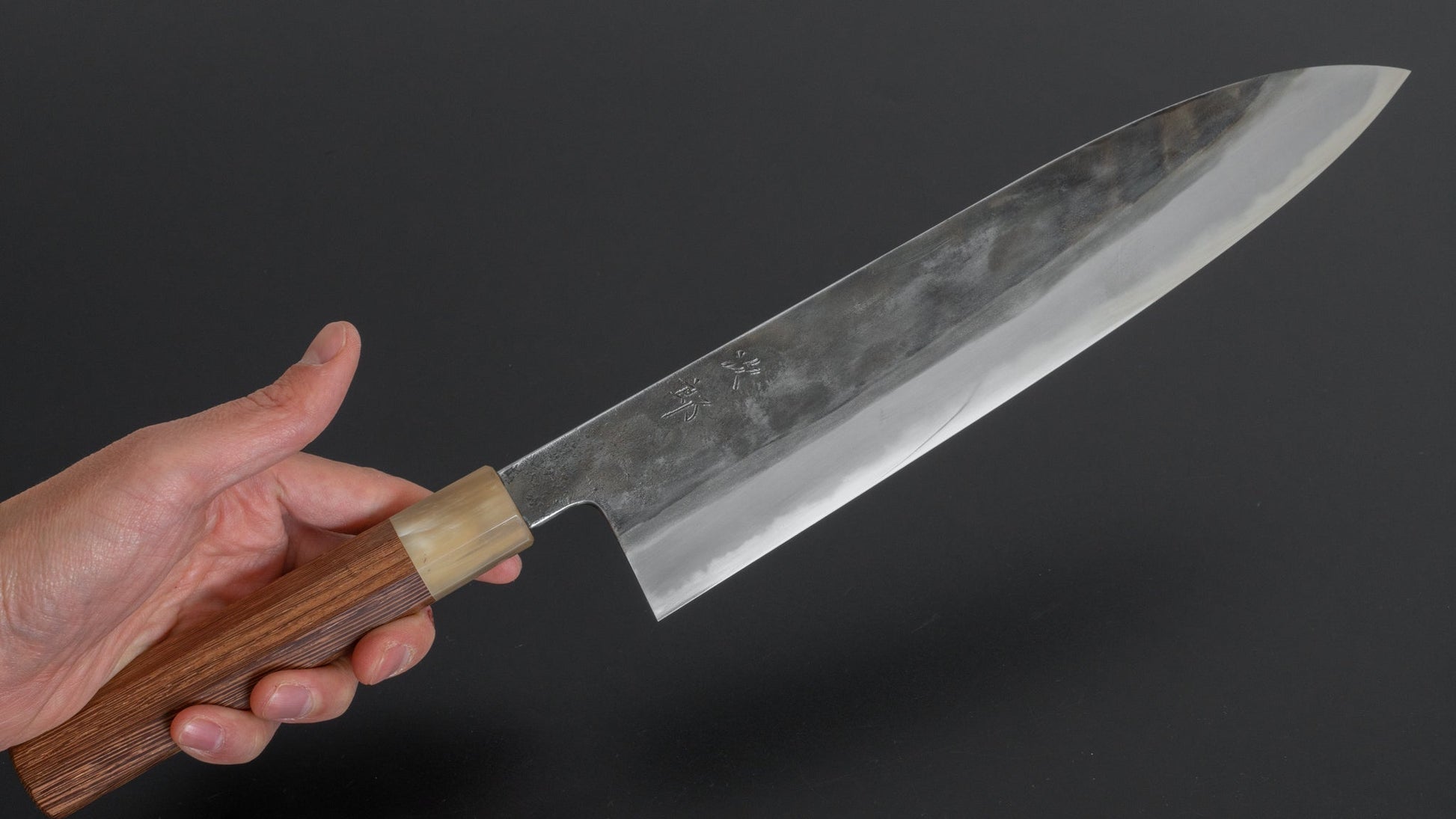 Jiro Tsuchime Wa Gyuto 270mm Taihei Tagayasan Handle (#202) - HITOHIRA