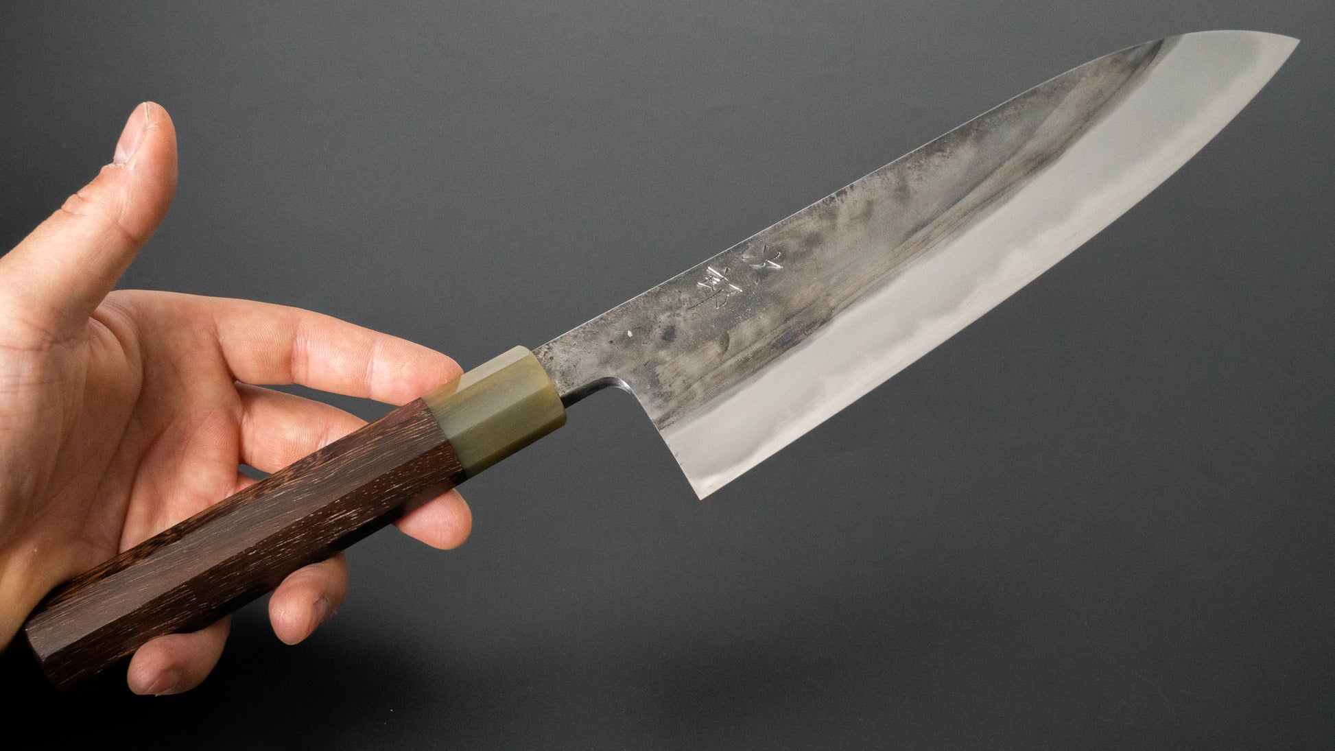 Jiro Tsuchime Wa Gyuto 225mm Taihei Tagayasan Handle (#410) - HITOHIRA