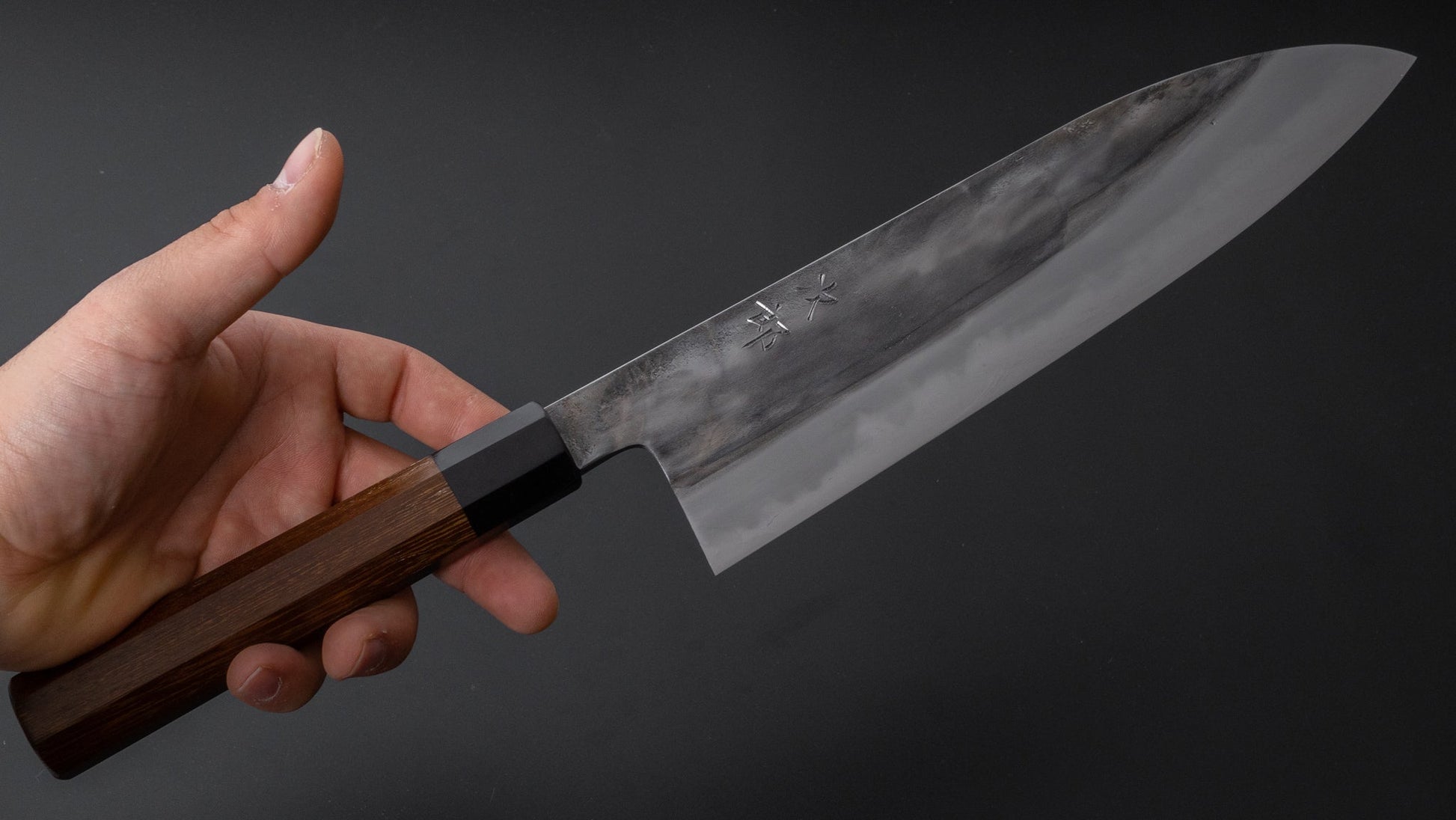 Jiro Tsuchime Wa Gyuto 240mm Taihei Tagayasan Handle (#324) - HITOHIRA