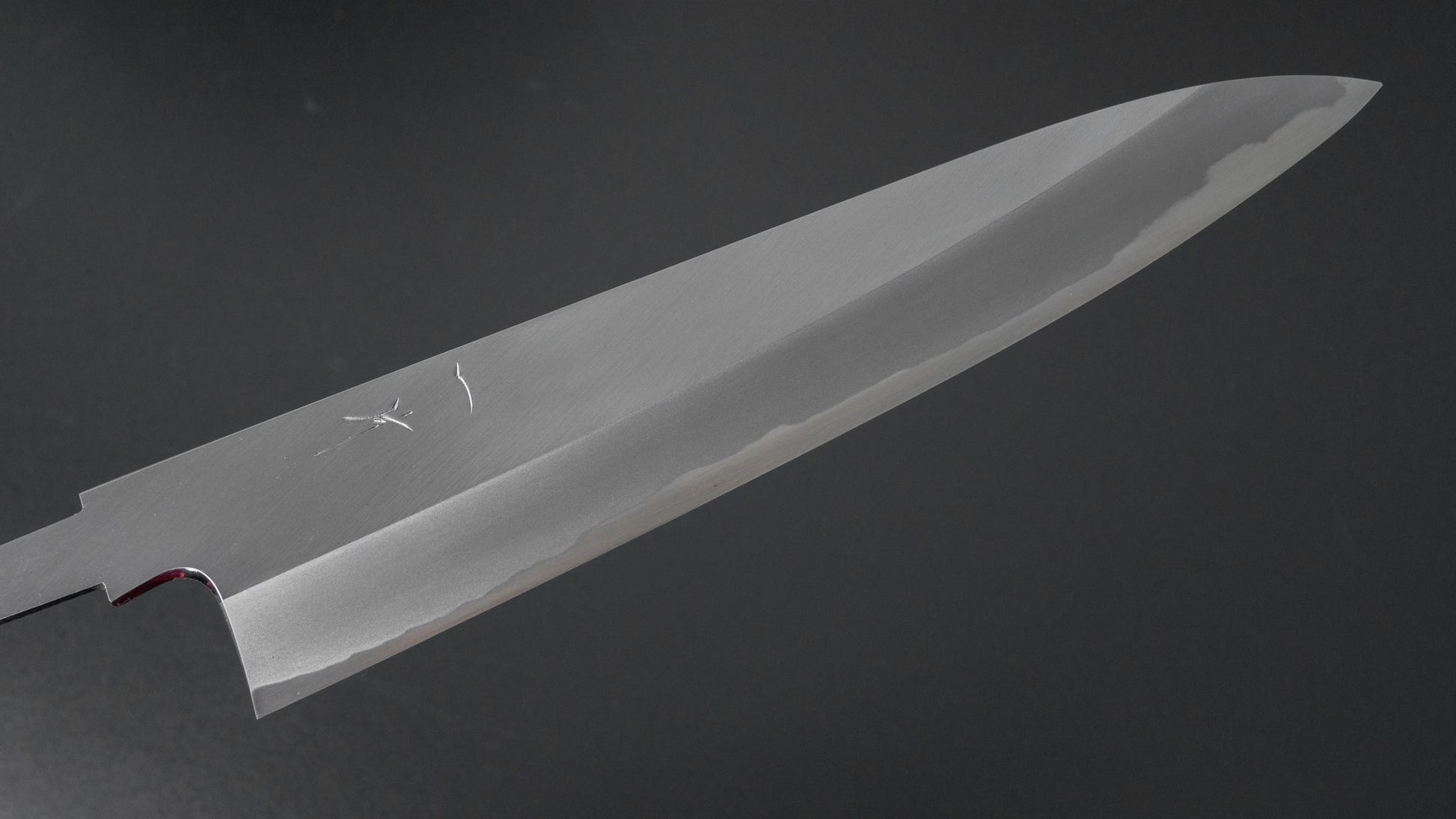 Hitohira Kikuchiyo Kyuzo White #2 Migaki Gyuto 210mm (No Handle) | HITOHIRA